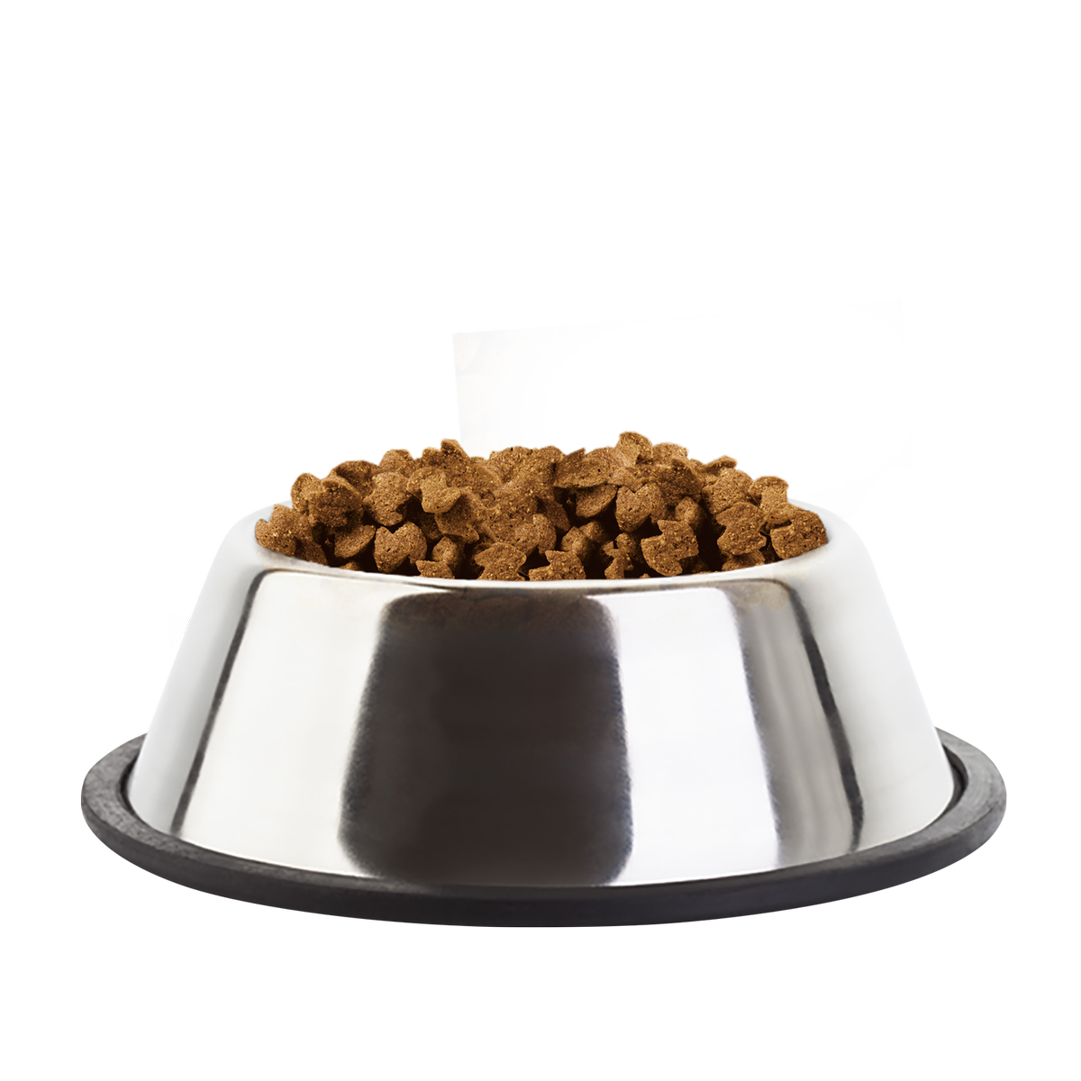 Cat food png. Dog food корм для собак. Миска с кормом для собак. Миска с кормом для кошек. Тарелка с кормом.